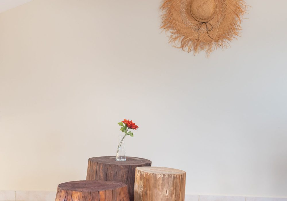 Sofitaki Apartments Kefalonia - Central