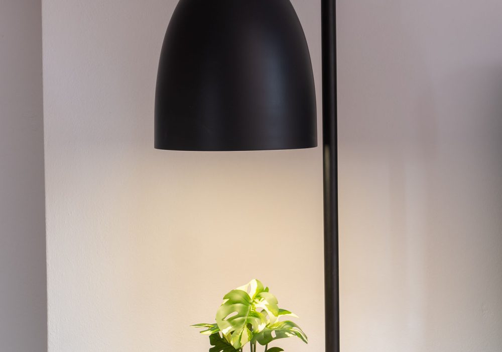 Sofitaki Apartments Kefalonia - Central