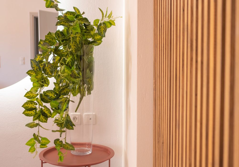 Sofitaki Apartments Kefalonia - Midway