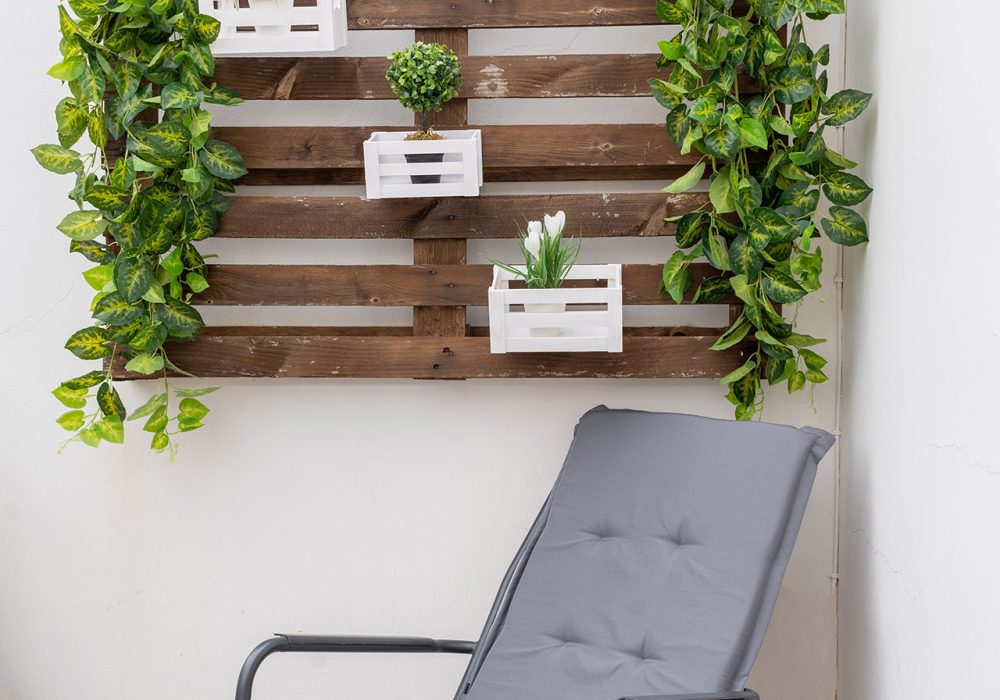 Sofitaki Apartments Kefalonia - Pleurotus (15)