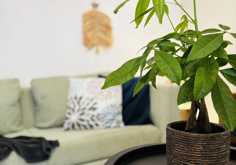 Sofitaki Pleurotus Apartment